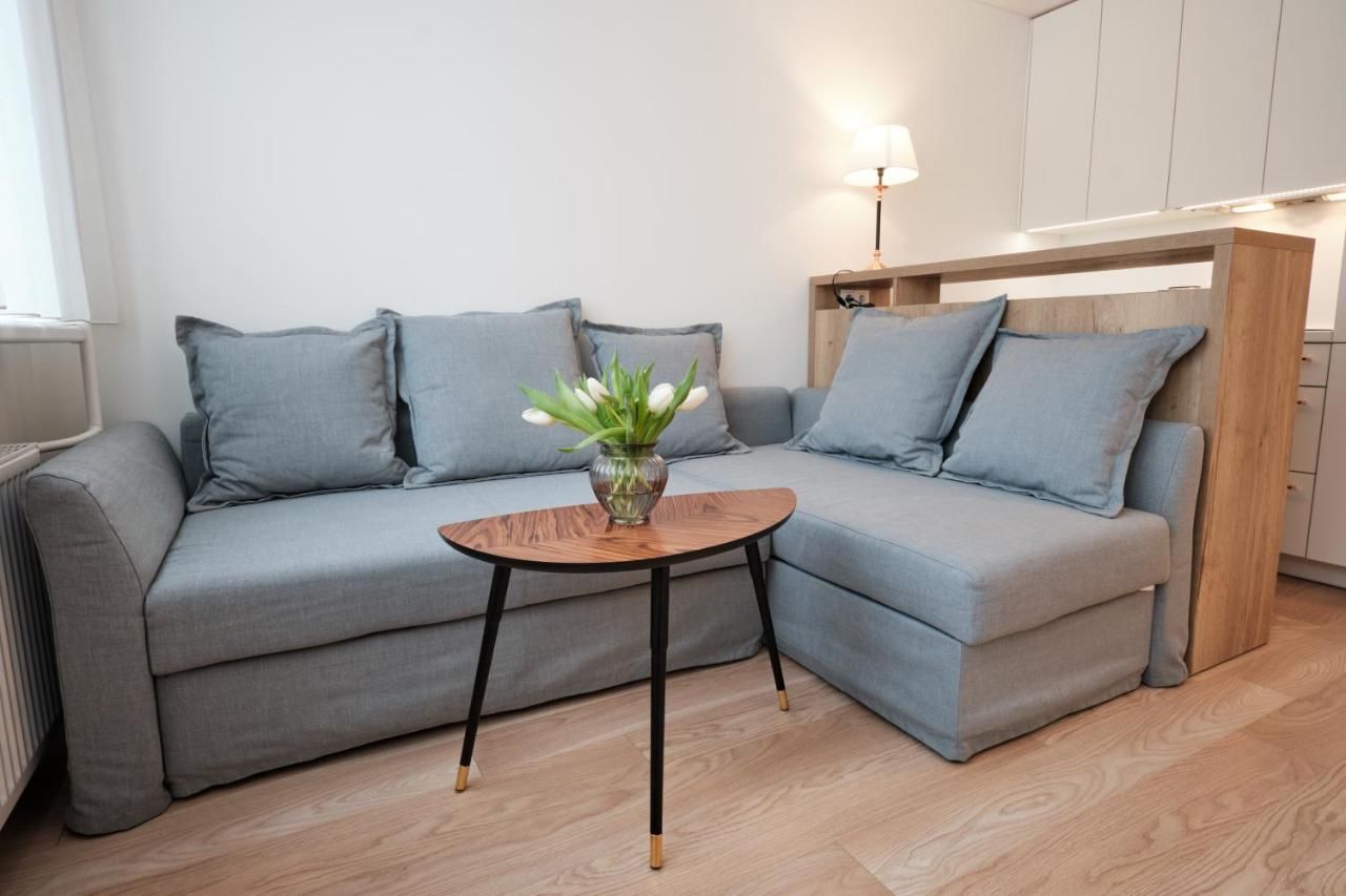 Апартаменты Cosy studio near Akropolis and Švyturio arena Клайпеда-20