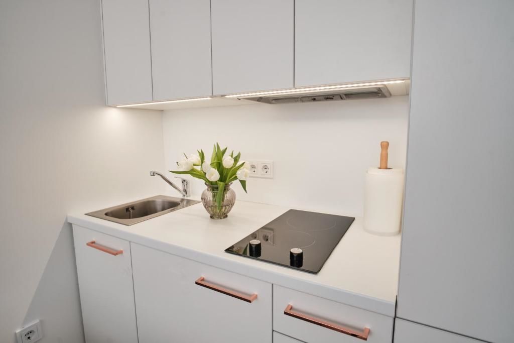 Апартаменты Cosy studio near Akropolis and Švyturio arena Клайпеда-54