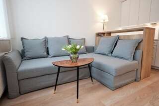 Апартаменты Cosy studio near Akropolis and Švyturio arena Клайпеда Апартаменты-студио-17