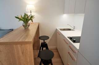 Апартаменты Cosy studio near Akropolis and Švyturio arena Клайпеда Апартаменты-студио-19