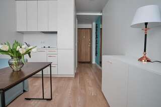 Апартаменты Cosy studio near Akropolis and Švyturio arena Клайпеда Апартаменты-студио-30
