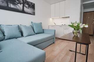 Апартаменты Cosy studio near Akropolis and Švyturio arena Клайпеда Апартаменты-студио-31