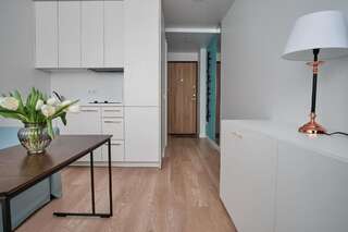 Апартаменты Cosy studio near Akropolis and Švyturio arena Клайпеда Апартаменты-студио-34