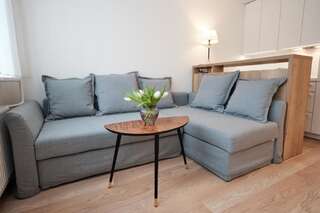 Апартаменты Cosy studio near Akropolis and Švyturio arena Клайпеда Апартаменты-студио-35