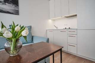 Апартаменты Cosy studio near Akropolis and Švyturio arena Клайпеда Апартаменты-студио-40