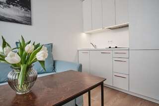 Апартаменты Cosy studio near Akropolis and Švyturio arena Клайпеда Апартаменты-студио-5