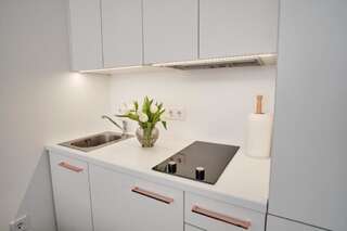 Апартаменты Cosy studio near Akropolis and Švyturio arena Клайпеда Апартаменты-студио-51