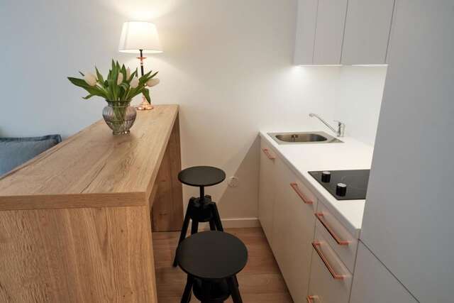 Апартаменты Cosy studio near Akropolis and Švyturio arena Клайпеда-21