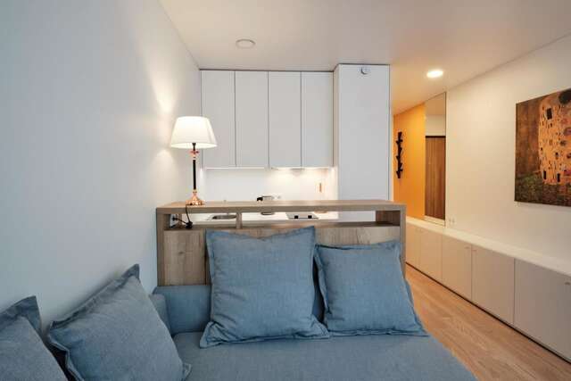 Апартаменты Cosy studio near Akropolis and Švyturio arena Клайпеда-29