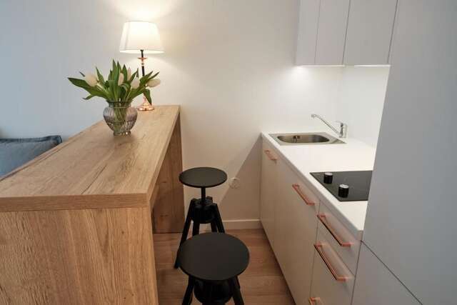 Апартаменты Cosy studio near Akropolis and Švyturio arena Клайпеда-46
